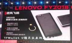TPWallet U转不出来的原因及解决方法