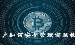 TPWallet用户如何安全管理突然收到的空投币