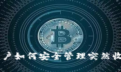 TPWallet用户如何安全管理突然收到的空投币