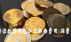 全面解读数字钱包征信报告费用：消费者指南