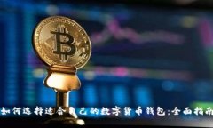 如何选择适合自己的数字货币钱包：全面指南