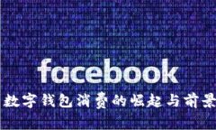 内蒙数字钱包消费的崛起与前景分析