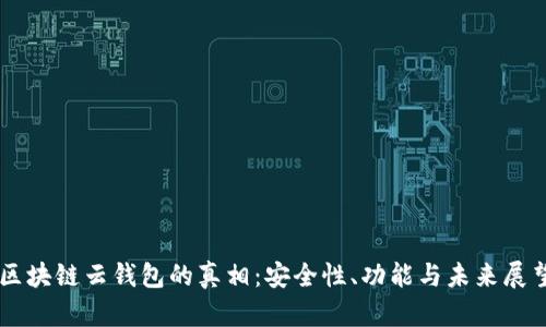 区块链云钱包的真相：安全性、功能与未来展望