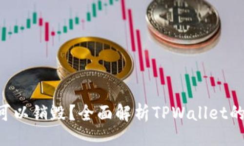 与关键词

 TPWallet是否可以销毁？全面解析TPWallet的特性与管理方法