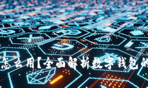 数字钱包10块钱怎么用？全面解析数字钱包的使用方法与技巧