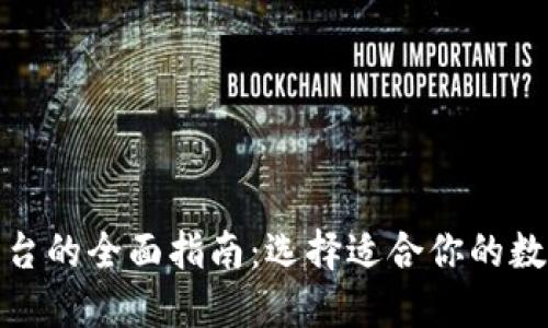 数字货币钱包平台的全面指南：选择适合你的数字资产管理工具