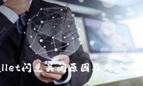 TPWallet闪兑关闭原因及用户应对指南