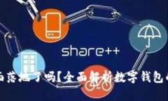 数字钱包全面落地了吗？全面解析数字钱包的现