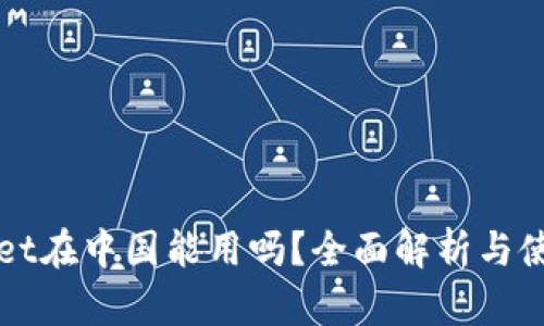 TPWallet在中国能用吗？全面解析与使用指南