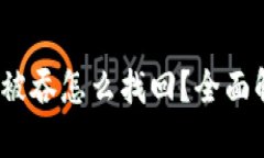 :tpwallet转账被吞怎么找回？全面解析与解决方案