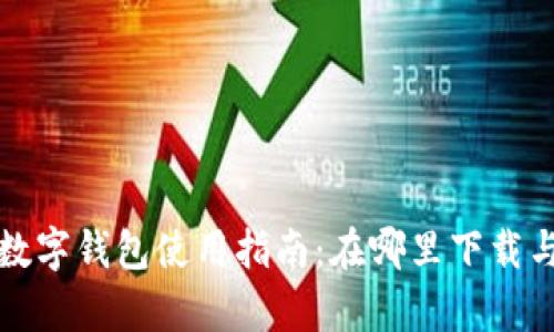 新津数字钱包使用指南：在哪里下载与注册
