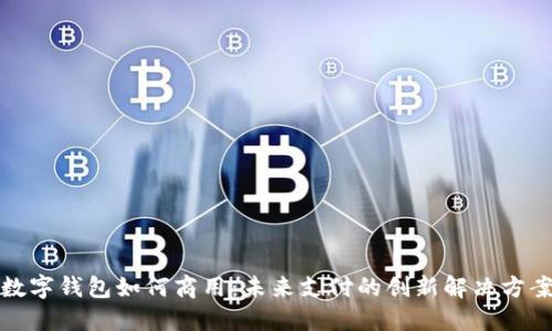 数字钱包如何商用：未来支付的创新解决方案