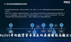TPWallet中的数字货币消失的原因解析与解决方案