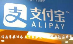 如何在苹果设备上下载和使用数字钱包应用程序