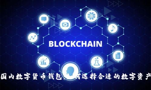 全面解析国内数字货币钱包：如何选择合适的数字资产管理工具