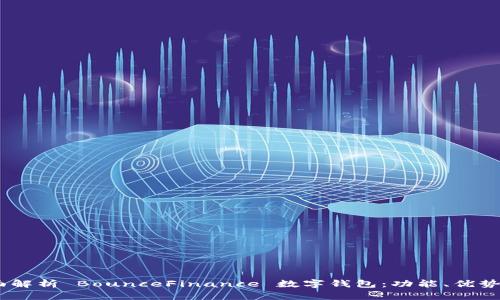 biasoti全面解析 BounceFinance 数字钱包：功能、优势与使用指南