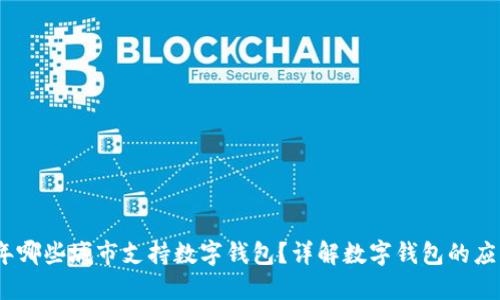 2023年哪些城市支持数字钱包？详解数字钱包的应用现状