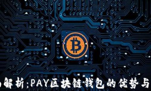 
全面解析：PAY区块链钱包的优势与应用