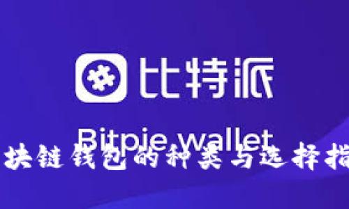 区块链钱包的种类与选择指南