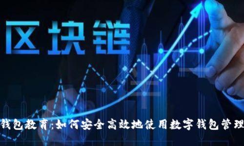 数字钱包教育：如何安全高效地使用数字钱包管理财务