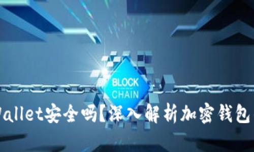 钱放TPWallet安全吗？深入解析加密钱包的安全性