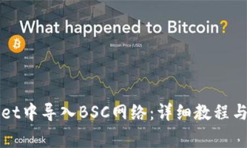 如何在TPWallet中导入BSC网络：详细教程与常见问题解答