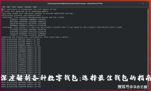 深度解析各种数字钱包：选择最佳钱包的指南