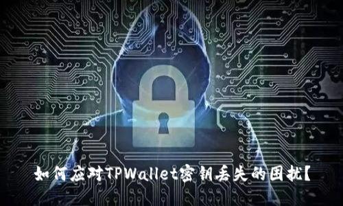 如何应对TPWallet密钥丢失的困扰？