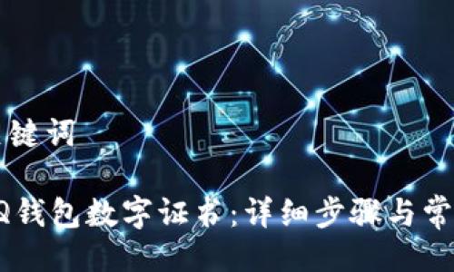 ### 及关键词

如何下载QQ钱包数字证书：详细步骤与常见问题解答