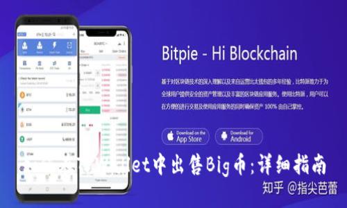 如何在TPWallet中出售Big币：详细指南