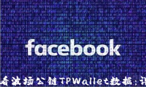 
如何查看波场公链TPWallet数据：详细指南