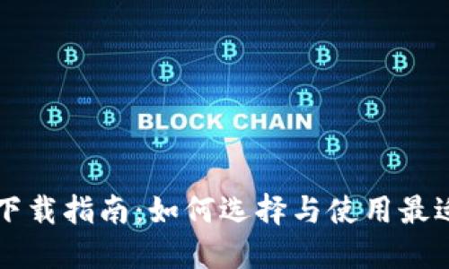 区块链电子钱包下载指南：如何选择与使用最适合你的电子钱包