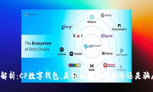 深入解析：CP数字钱包，是轻松赚钱的机会还是骗局吗？
