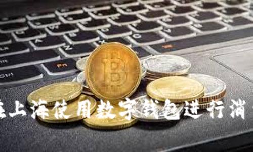 如何在上海使用数字钱包进行消费支付