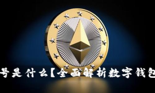 数字钱包的卡号是什么？全面解析数字钱包的安全与使用