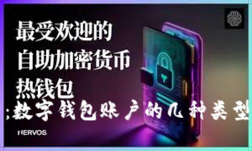 深入解析：数字钱包账户的几种类型及其优势