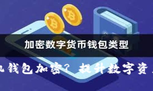 如何有效给手机钱包加密? 提升数字资产安全性的方法
