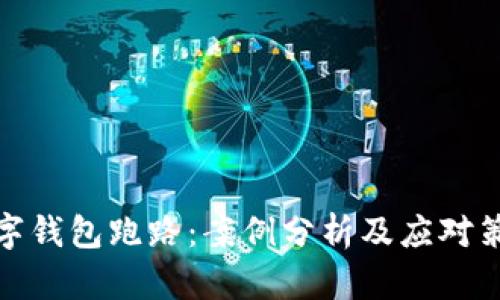 数字钱包跑路：案例分析及应对策略