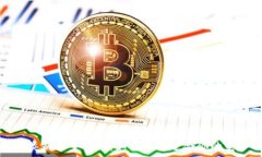   数字钱包的类别设置指南：如何选择适合你的电