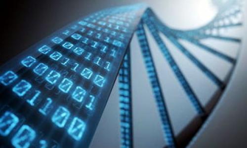 如何解决TPWallet中无法买卖数字货币的问题
TPWallet, 数字货币, 买卖问题, 解决方案/guanjianci

### 内容主体大纲

1. 引言
    - 数字货币市场的现状
    - TPWallet的功能简介

2. TPWallet无法买卖的原因
    - 网络问题
    - 应用程序的问题
    - 账户验证问题
    - 交易对的流动性

3. 如何检查网络连接
    - 检测网络的方法
    - 解决常见网络问题

4. 应用程序的问题
    - 检查更新
    - 清除缓存和数据
    - 重启应用程序

5. 账户验证问题
    - 了解TPWallet的验证流程
    - 验证未完成的处理步骤

6. 交易对的流动性
    - 了解流动性的概念
    - 如何选择流动性好的交易对

7. 其他可能原因及解决方案
    - 法规问题
    - 交易所的一些限制

8. 常见问题解答
    - 常见问题概述
    - 用户反馈与解决案例

9. 结论
    - 提醒用户保持谨慎
    - 未来的发展展望

### 正文内容

#### 1. 引言

在当今数字货币日益普及的时代，投资者和用户希望通过各种数字货币交易平台进行买卖交易。TPWallet作为一个受欢迎的钱包应用，支持多种数字货币的存储和交易。然而，许多用户反映在TPWallet中无法完成币的买卖，这一问题引发了广泛的关注。本文将分析导致这一问题的可能原因，并提供相应的解决方案。

随着区块链技术的发展，数字货币的市场也在不断变化。TPWallet不仅仅是一个简单的钱包，还是一个交易平台，它允许用户轻松管理他们的数字资产。然而，当用户在这些平台上遇到技术经济问题时，他们常常感到困惑和无助。我们将深入探讨这些问题及其解决办法。

#### 2. TPWallet无法买卖的原因

当用户在TPWallet中遇到无法买卖的情况时，往往会感到焦虑。在这个部分，我们将探讨一些可能导致该问题的原因：

- **网络问题**：网络连接不稳定或丢失可能会导致交易失败。
- **应用程序的问题**：应用程序可能因bug或未更新而无法正常工作。
- **账户验证问题**：未完成的身份验证会限制用户的交易能力。
- **交易对的流动性**：某些交易对可能流动性不足，导致买卖无法完成。

#### 3. 如何检查网络连接

检测网络的方法
首先，确保您的设备有良好的网络连接。您可以尝试在浏览器中打开其他网站，或者使用社交媒体应用检查您的 Wi-Fi 或移动网络是否正常工作。

解决常见网络问题
如果发现网络不稳定，可以尝试重启路由器，或者在不同的网络环境下重新尝试进行交易。同时，使用VPN可能会帮助绕过某些地区的网络限制，确保交易顺利进行。

#### 4. 应用程序的问题

检查更新
有时，应用程序的新版本可以解决一些已知问题。在TPWallet的界面上，您应该定期检查更新，并确保使用最新版本。

清除缓存和数据
清除应用的缓存和数据也许能解决一些性能相关的问题。在手机的设置中找到TPWallet，然后选择“清除缓存”或“清除数据”。请注意，清除数据可能需要您重新登录，但这样可能有助于恢复正常功能。

重启应用程序
如果问题依然存在，尝试完全关闭应用程序，并重新启动它。这通常可以解决许多临时性的故障。

#### 5. 账户验证问题

了解TPWallet的验证流程
TPWallet的交易权限可能受到账户验证状态的影响。用户需确保完成所有必要的身份验证，尤其是在刚创建账户时。

验证未完成的处理步骤
登录TPWallet，查看账户设置中的验证部分，确保没有遗漏的步骤。如果需要补充资料，请及时提交以免影响交易。

#### 6. 交易对的流动性

了解流动性的概念
流动性是指市场中资产易于买卖的程度。如果某个币种的交易对流动性较差，用户可能会在买卖时遇到困难。选择流动性好且交易量大币种，能在很大程度上提高交易成功率。

如何选择流动性好的交易对
在选择交易对时，可以通过查看其历史交易数据、市场活跃度等来判断其流动性。大多数交易平台会提供这些信息，以帮助用户作出明智决策。

#### 7. 其他可能原因及解决方案

法规问题
有时候，法规的变化会影响某些币种或交易对的交易权限。如果您处于某个地区，政策限制可能会导致您无法交易。

交易所的一些限制
某些交易所会在特定情况下限制交易，比如系统维护或软件升级。这时，可以关注官方公告，了解何时恢复正常运营。

#### 8. 常见问题解答

常见问题概述
用户在TPWallet中常见的一些问题包括无法进行交易、显示错误信息等。在这里，我们将提供一个常见问题的解答列表，帮助用户排查问题。

用户反馈与解决案例
我们邀请一些用户分享他们在TPWallet中遇到的问题以及解决这些问题的方法，通过真实案例，让其他用户更好地理解如何有效应对类似问题。

#### 9. 结论

在数字时代，用户在TPWallet中交易可能会遇到种种技术问题。了解并掌握解决方案，能够让用户在买卖数字货币时更加从容。

未来，随着区块链技术的进步和市场的发展，用户有必要关注TPWallet的更新和市场动态，确保自己能够顺利进行交易，投资和管理自己的数字资产。

### 相关问题

1. TPWallet是否支持所有数字货币的买卖？
2. 如果TPWallet无法买卖，是否有其他替代平台？
3. 用户如何保持账户安全以防止交易被限制？
4. TPWallet的交易费用如何计算？
5. 根据市场变化，用户如何评估数字资产的投资潜力？
6. TPWallet的技术支持和客服联系方式？
7. 在使用TPWallet时，用户需要考虑哪些法律法规？

以上问题将在后续部分详细解析。