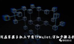 如何在苹果手机上下载TPWallet：详细步骤与指南