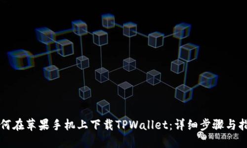 如何在苹果手机上下载TPWallet：详细步骤与指南