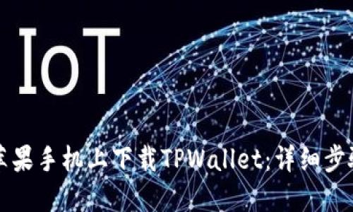 如何在苹果手机上下载TPWallet：详细步骤与指南