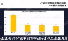     如何将支点的USDT提取到TPWallet？详尽步骤与常