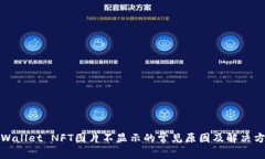 TPWallet NFT图片不显示的常见原因及解决方案