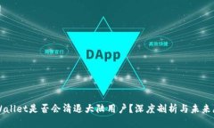 TPWallet是否会清退大陆用户？深度剖析与未来展望